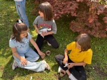 Festa_Terra_Primaria_29.04-(180).jpeg