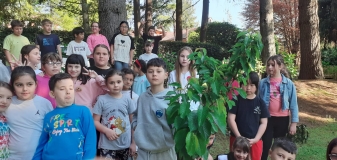 Festa_Terra_Primaria_29.04-(209).jpeg