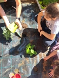 Festa_Terra_Primaria_29.04-(275).jpeg