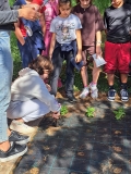 Festa_Terra_Primaria_29.04-(277).jpeg
