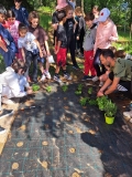 Festa_Terra_Primaria_29.04-(279).jpeg