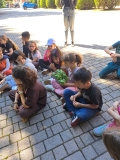 Festa_Terra_Primaria_29.04-(282).jpeg