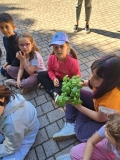 Festa_Terra_Primaria_29.04-(287).jpeg