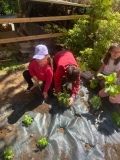 Festa_Terra_Primaria_29.04-(294).jpeg