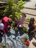 Festa_Terra_Primaria_29.04-(295).jpeg