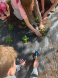 Festa_Terra_Primaria_29.04-(296).jpeg