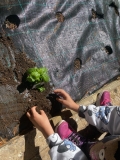 Festa_Terra_Primaria_29.04-(300).jpeg