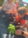 Festa_Terra_Primaria_29.04-(301).jpeg