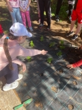 Festa_Terra_Primaria_29.04-(302).jpeg