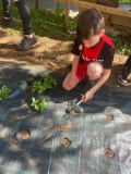 Festa_Terra_Primaria_29.04-(304).jpeg