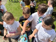 Festa_Terra_Primaria_29.04-(350).jpeg
