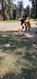MiniOlimpiadi_Pr_Inf_2025-(119).jpeg