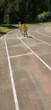 MiniOlimpiadi_Pr_Inf_2025-(127).jpeg