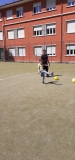 MiniOlimpiadi_Pr_Inf_2025-(278).jpeg