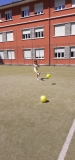 MiniOlimpiadi_Pr_Inf_2025-(285).jpeg
