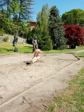 MiniOlimpiadi_Pr_Inf_2025-(311).jpeg
